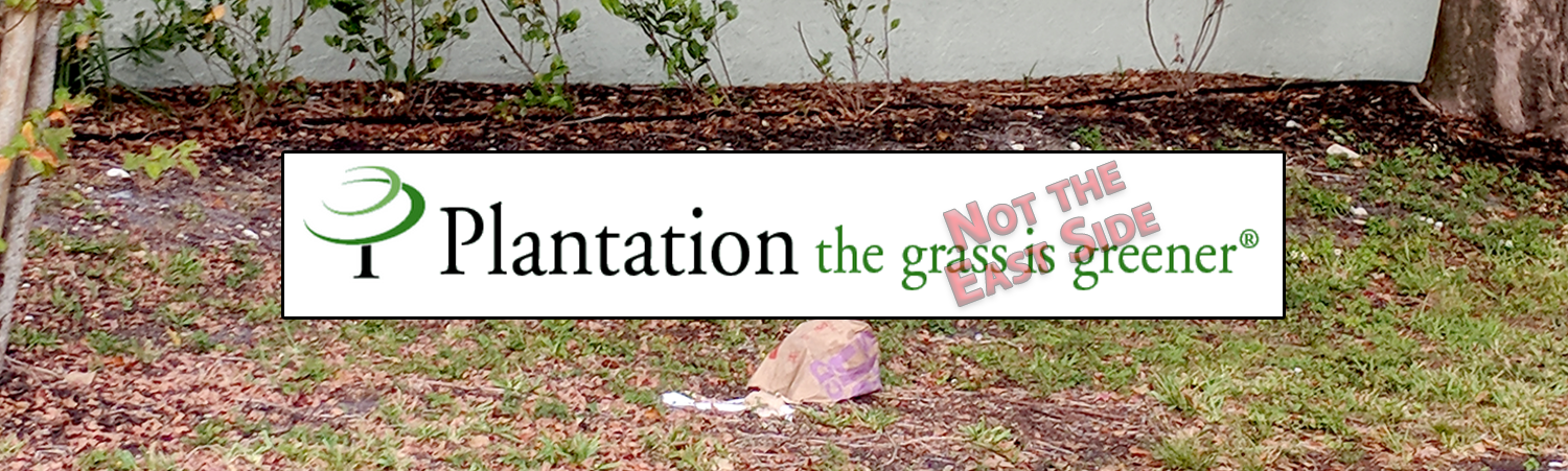 Plantation the grass is greener | Not The East Side